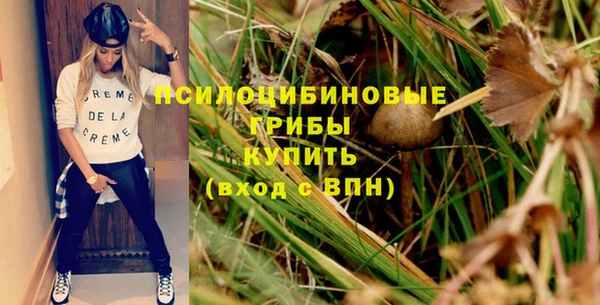 гидропоника Абдулино