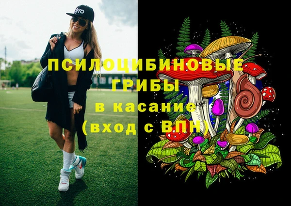 apvp Абинск
